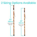 Carved Wooden Walking Stick - Image 4